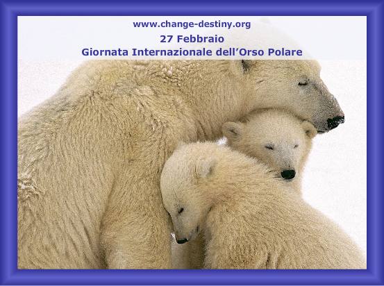 Giornata Internazionale dell'Orso Polare