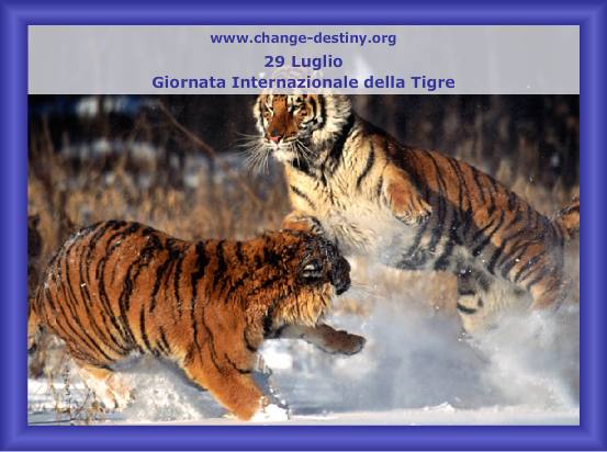 Giornata Internazionale della Tigre