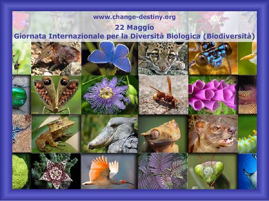 Giornata Internazionale per la Diversità Biologica