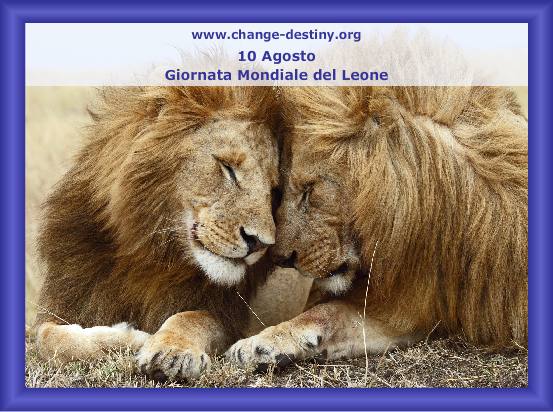 Giornata Mondiale del Leone