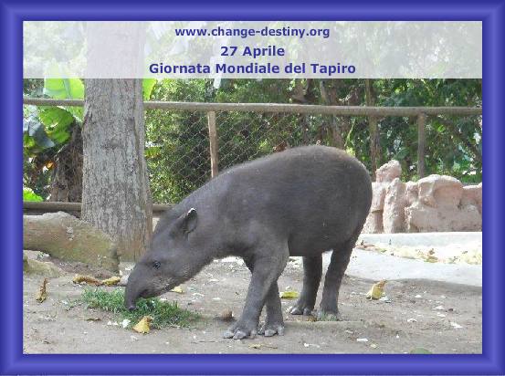 Giornata Mondiale del Tapiro