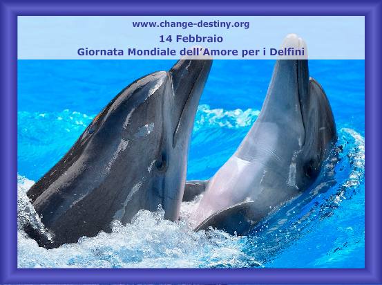 Giornata Mondiale dell'Amore per i delfini