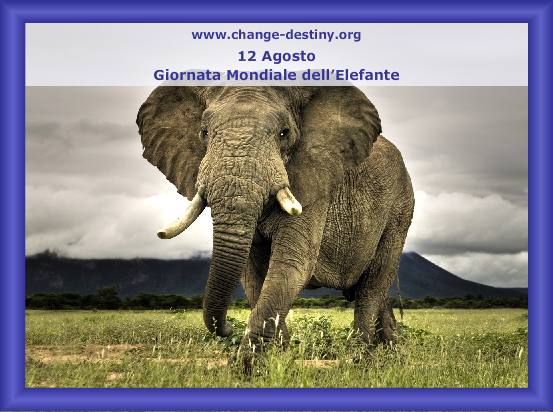 Giornata Mondiale dell'Elefante