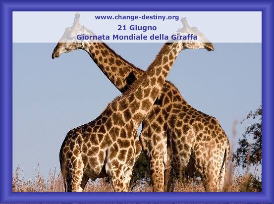 Giornata mondiale della Giraffa